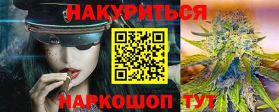 крисы Краснодар
