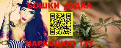 крисы Краснодар