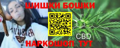 крисы Краснодар