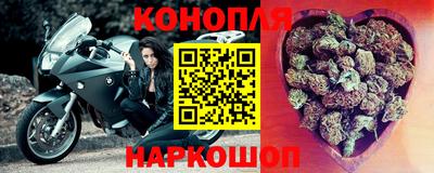 крисы Краснодар