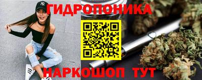 крисы Краснодар