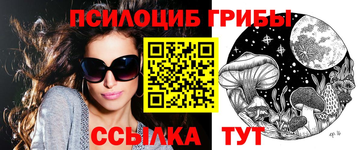 магазин продажи наркотиков  Псилоцибиновые грибы Cubensis  Вход с VPN  Псилоцибиновые грибы Psilocybe  Кириши 