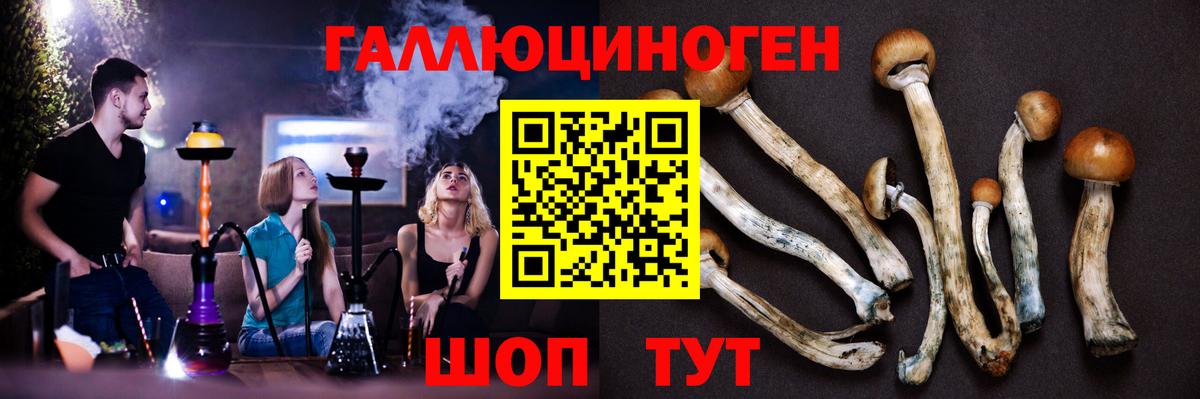Галлюциногенные грибы прущие грибы Кириши